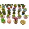 SIX VANKA Plantas en maceta en miniatura decoración de