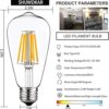 SHUWDKAR Bombillas LED de 12 V 6 W E26 ST64 bombilla de_2