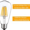 SHUWDKAR Bombillas LED de 12 V 6 W E26 ST64 bombilla de_4