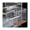 SETCO Comedero automático para pájaros sin ensuciar_5