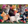 Rompecabezas Anatolian Gatitos en juego 260 piezas_2