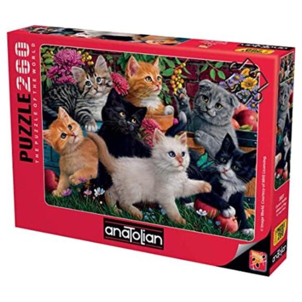 Rompecabezas Anatolian Gatitos en juego 260 piezas_1