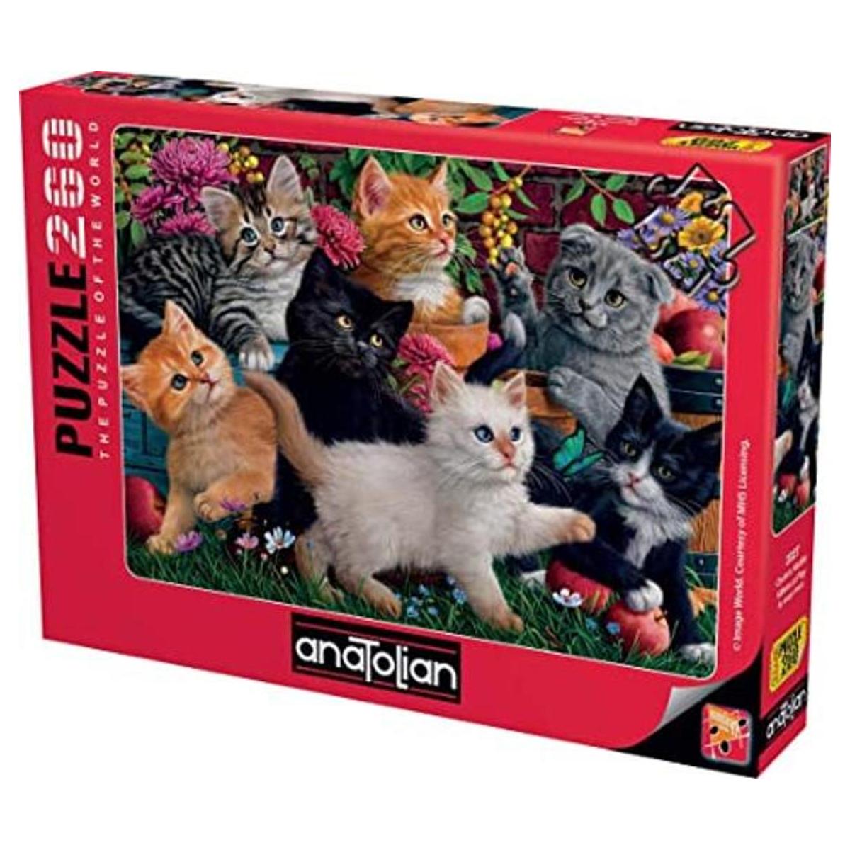 Rompecabezas Anatolian Gatitos en juego 260 piezas