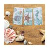 Kay Dee Designs Beachcomber Juego de 3 toallas de cocina_3