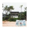 Kay Dee Designs Beachcomber Juego de 3 toallas de cocina_6