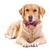 KUDES Collar de perro con diseño navideño de copos de