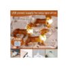 Impress Life Pet Theme Decorative String Lights 10ft 30