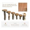 Hamster escalada plataforma de madera soporte para