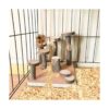 Hamster escalada plataforma de madera soporte para