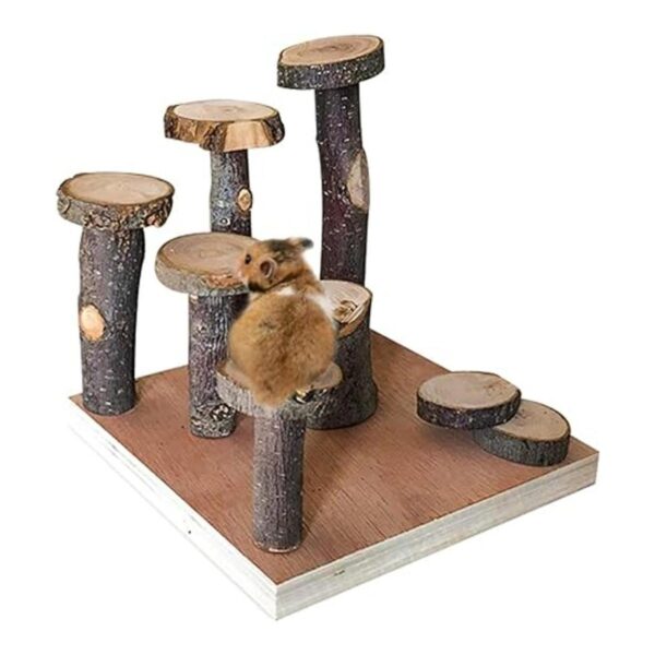 Hamster escalada plataforma de madera soporte para