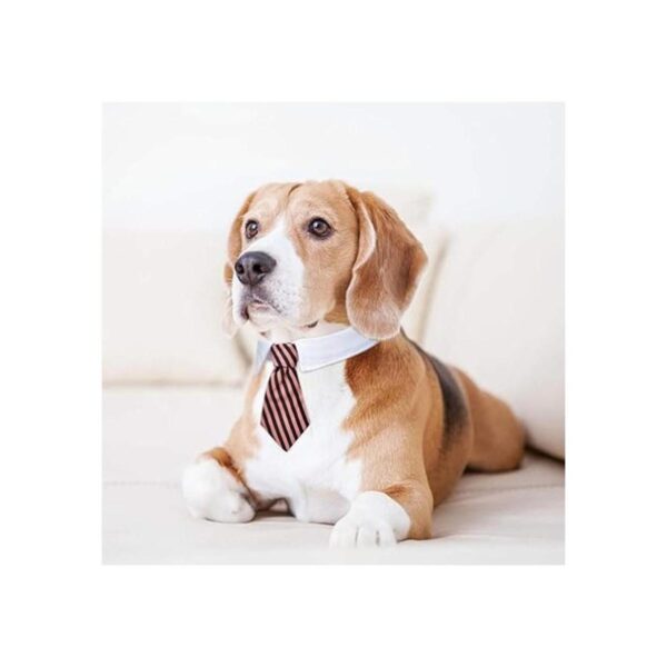 4 piezas de pajarita ajustable para mascotas cuello de