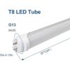 LightingWill Tubo de luz LED T8 de 2 pies blanco cálido_3