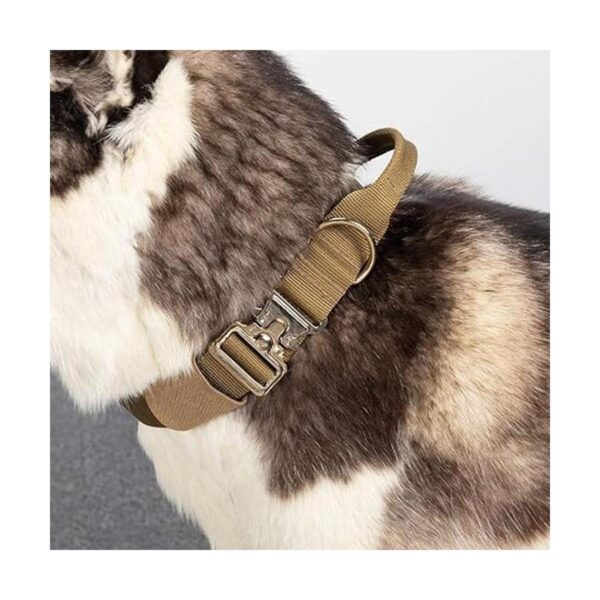 Excelente elite spanker collar de perro táctico militar_6