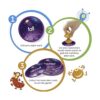 Learning Resources Slam Ships Sight Words Game Juegos_5