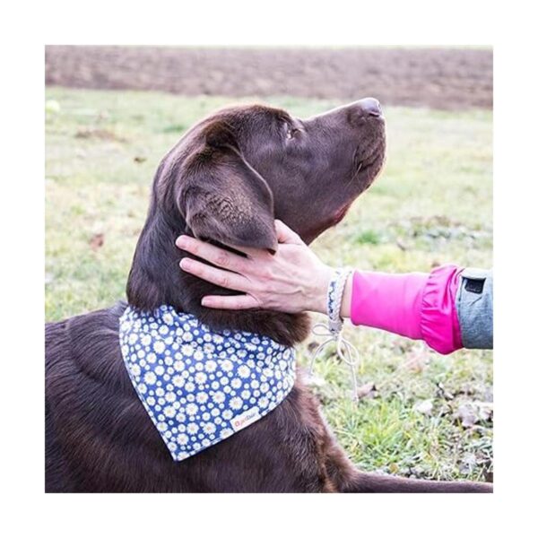 Pettsie Collar de perro y bandana a juego y pulsera de_2