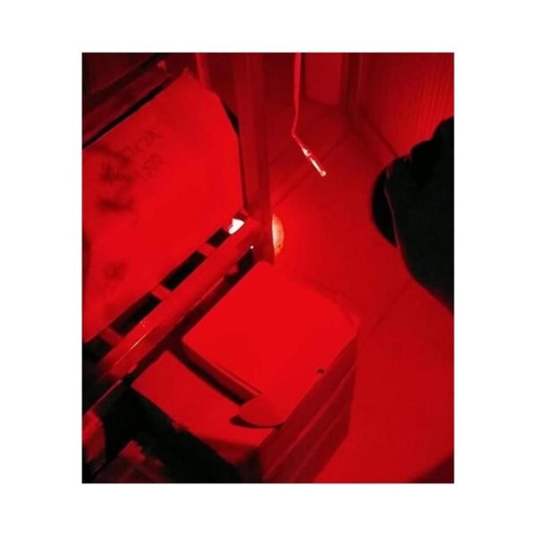 RaySoar Linterna de luz roja LDE 2 unidades linterna
