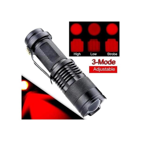 RaySoar Linterna de luz roja LDE 2 unidades linterna