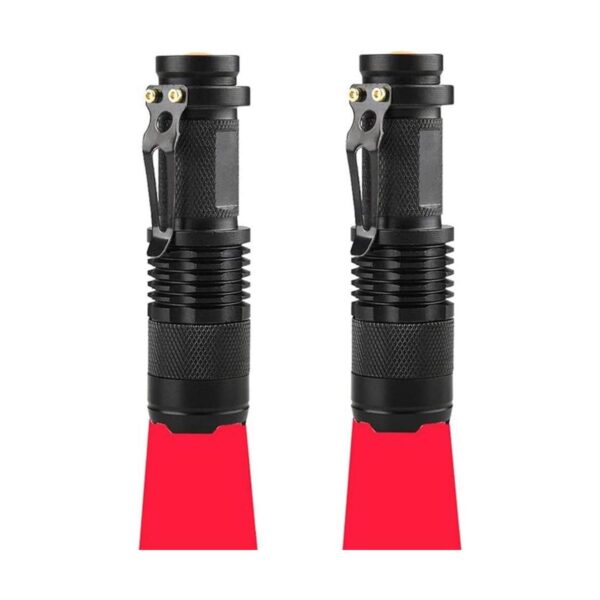 RaySoar Linterna de luz roja LDE 2 unidades linterna