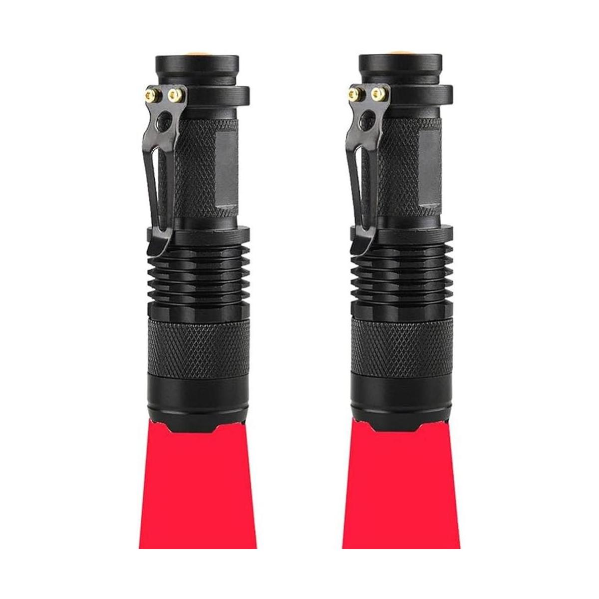 RaySoar Linterna de luz roja LDE 2 unidades linterna