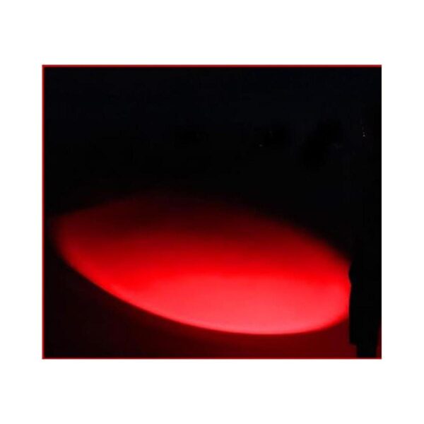 RaySoar Linterna de luz roja LDE 2 unidades linterna