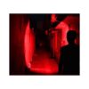 RaySoar Linterna de luz roja LDE 2 unidades linterna