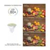 Lxcom Iluminación LED MR11 Bombilla de 6 Pack de 5 W LED