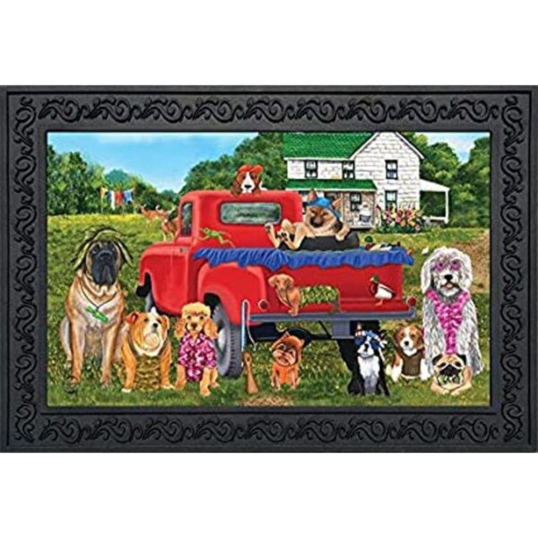 Country Pups Felpudo de verano para perros en interiores_1