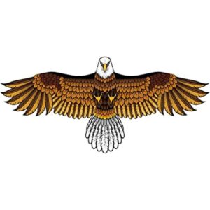 Eagle Kite para niños y adultos con envergadura de 60_1