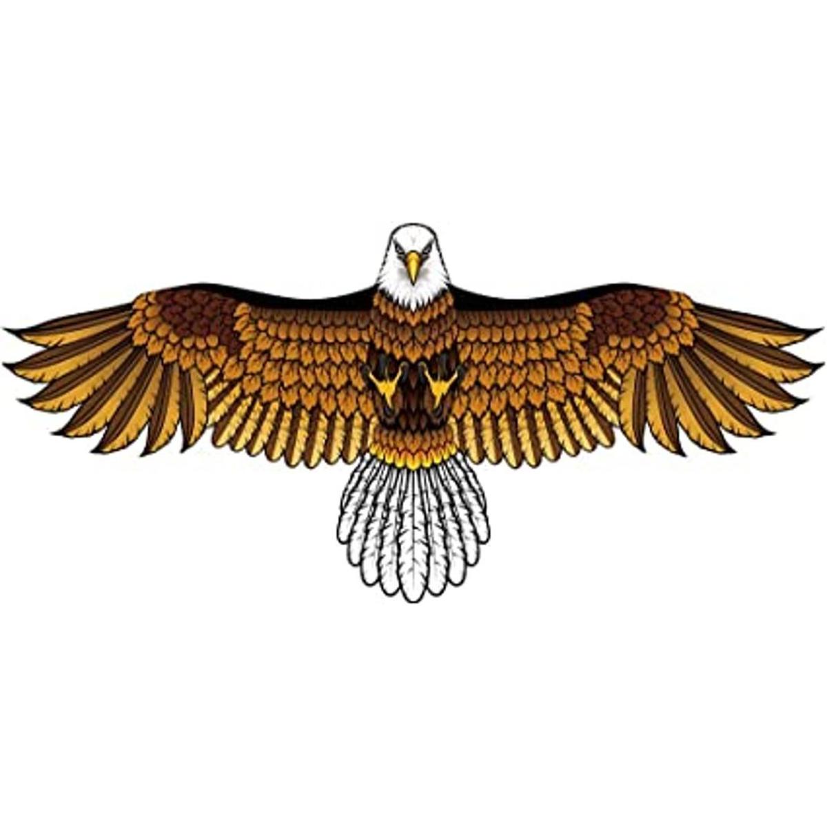 Eagle Kite para niños y adultos con envergadura de 60