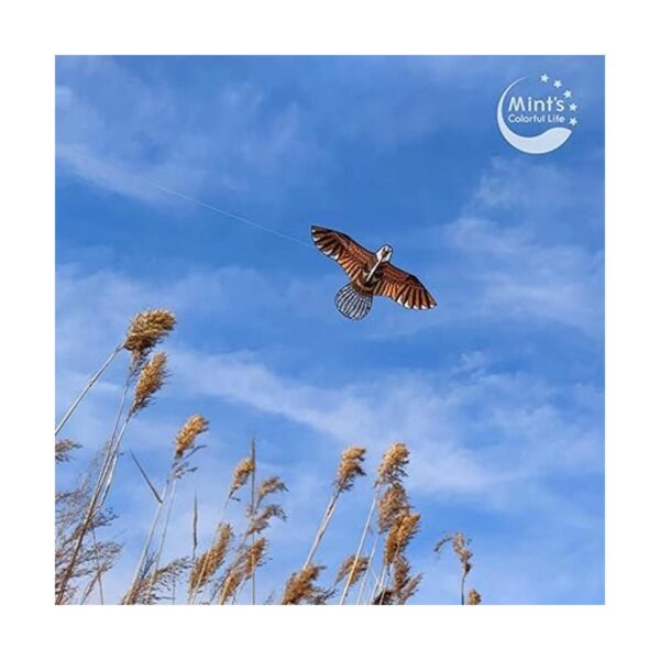 Eagle Kite para niños y adultos con envergadura de 60_2