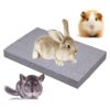 Litewoo Tablero rascador de conejos molares y patas