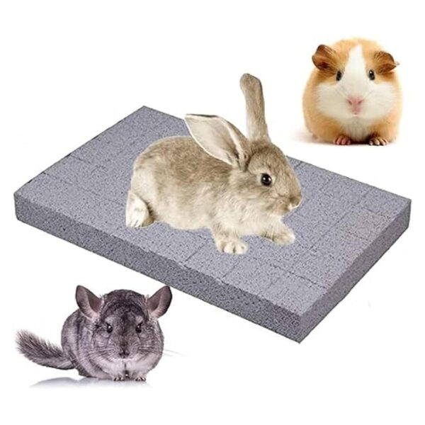 Litewoo Tablero rascador de conejos molares y patas