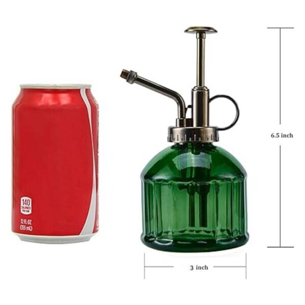 Ebristar Botella de spray de vidrio Mister para plantas de