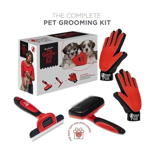 Kit completo de aseo profesional para mascotas Cepillo_2