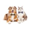 BWOGUE Pajaritas a cuadros para perros 10 corbatines para