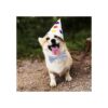 BWOGUE Pajaritas a cuadros para perros 10 corbatines para