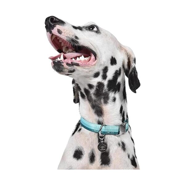 Now House for Pets by Jonathan Adler Jonathan Adler Now