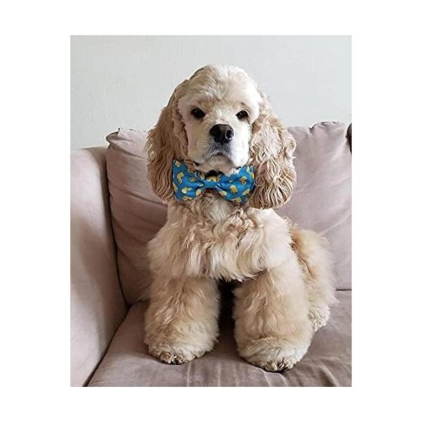 Huxley Kent Pajarita para mascotas Lucky Ducky