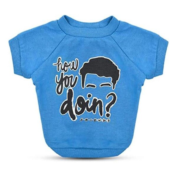 Friends TV Show How You Doin Camiseta para perro en_1