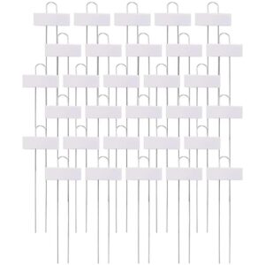 Foraineam 30 etiquetas de metal para plantas de plantas_1