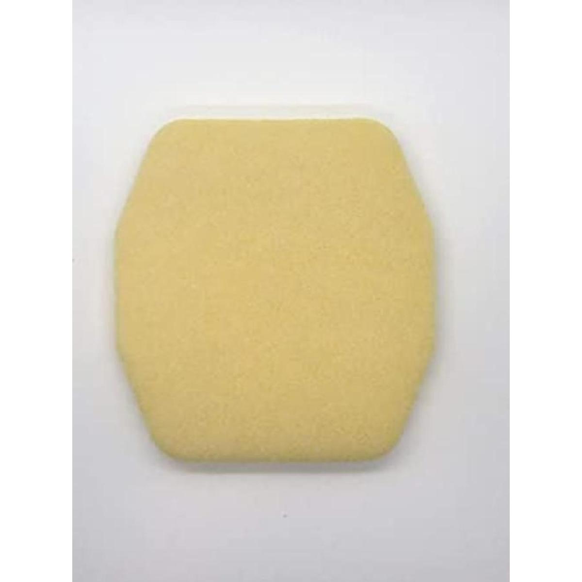 Coche Coaster Tire Dress Express