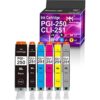 MuchMore Cartucho de tinta compatible con PGI 250XL CLI