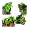 Hamiledyi rbol Artificial Tronco Reptil Plataforma Resina_4