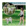 CHUNKY PAW Correa de perro manos libres para perros_5