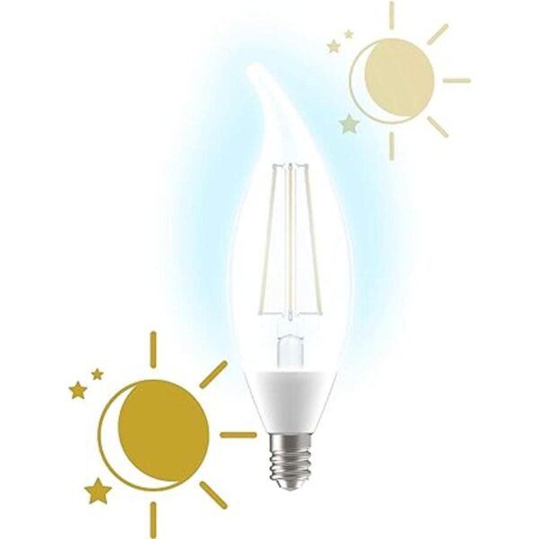 GE Lighting Bombilla LED A19 para exteriores atardecer_2