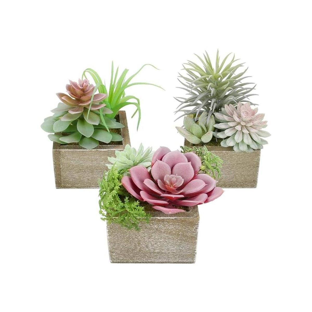 Mingfuxin Plantas suculentas artificiales mini suculentas