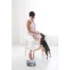 Doggie Dont Herramienta de entrenamiento audible para el_6