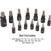 CASOMAN Juego de 25 piezas de enchufe Torx y enchufe