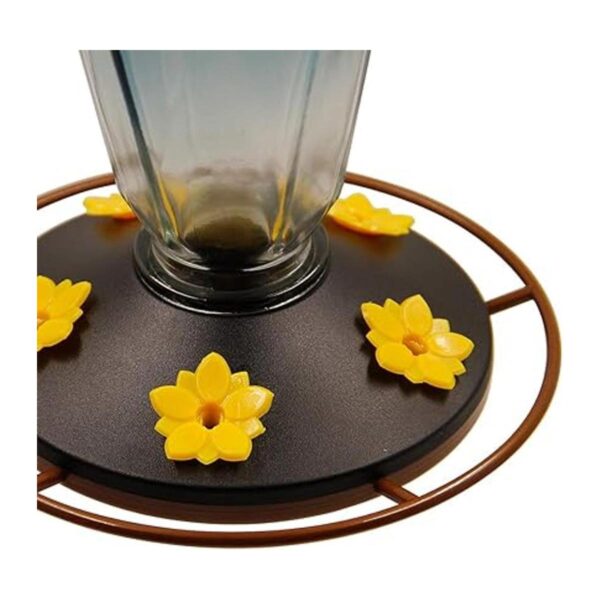 Juegoal Comederos de vidrio para colibríes para