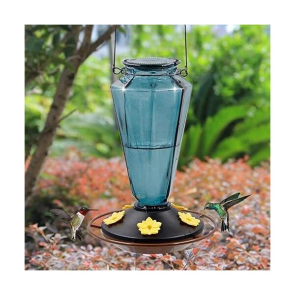 Juegoal Comederos de vidrio para colibríes para